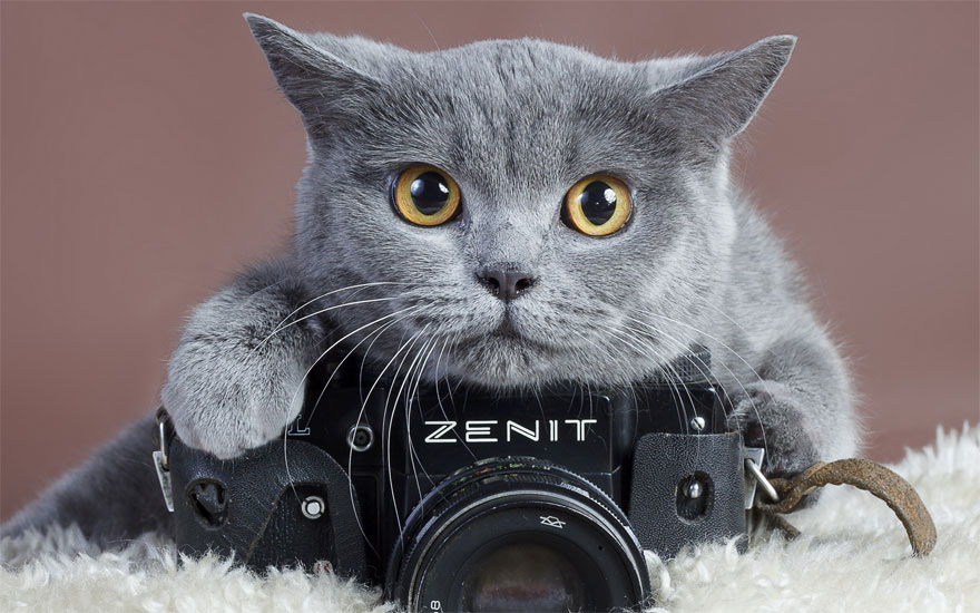 FOTO GALLERY