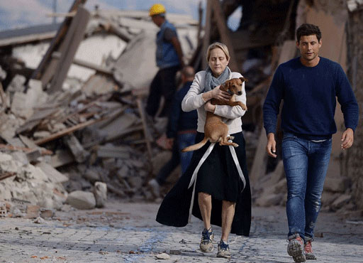 Aiuto agli amici a 4 zampe terremotati. Parte la raccolta cibo